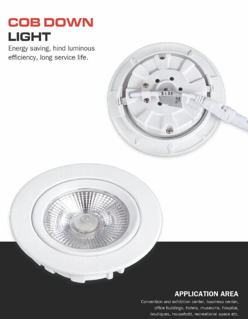 COB Down Light