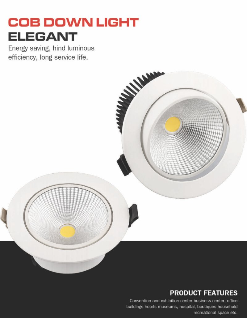 COB Down Light Elegant