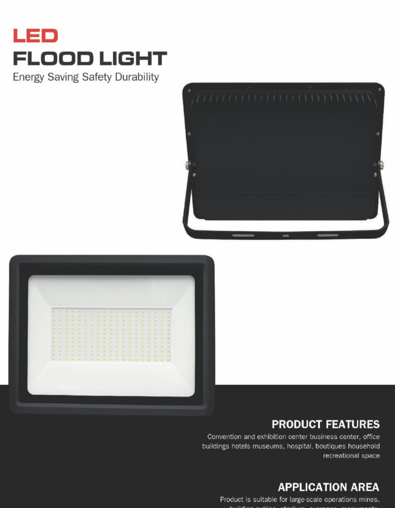 LED Flood Light